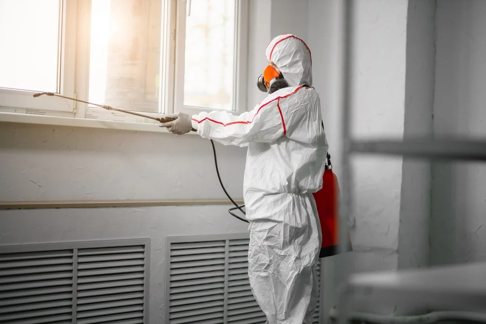 Professional mold remediation services in House Springs, MO